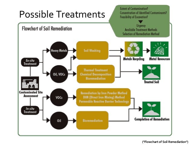 an analysis of the bioremeditation of explosives in contaminated soil an analysis of the bioremeditation of explosives in contaminated soil